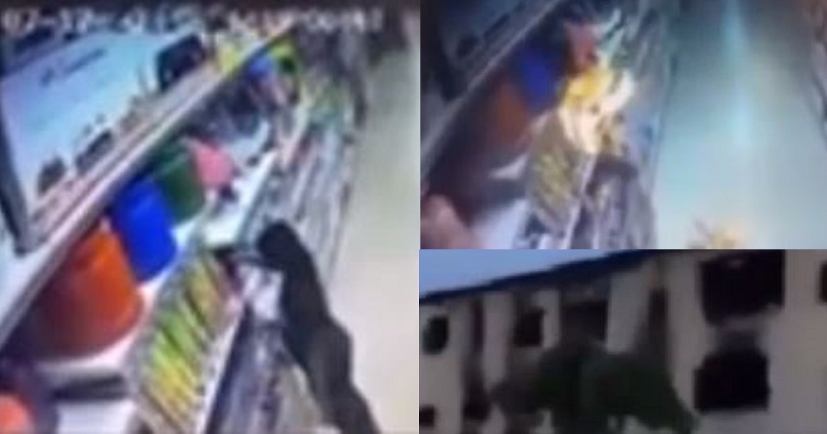 CCTV footage shows the moment a lady deliberately set a popular supermarket ablaze in Abuja (video)