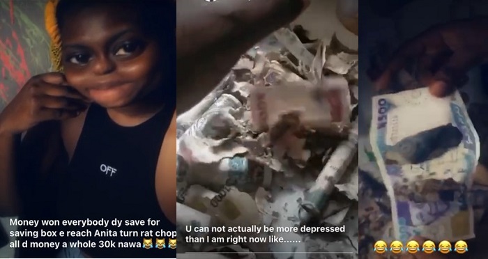 Niger Delta University student cries out after rats chewed N30k she kept inside her ‘kolo’
