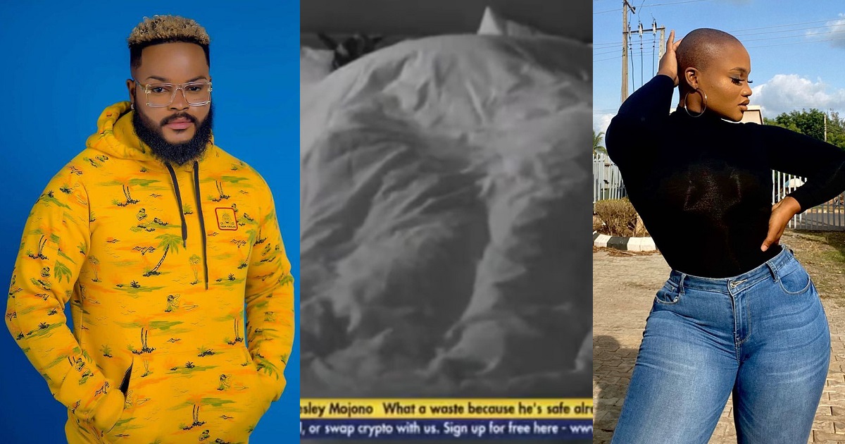 #BBNaija: Whitemoney and JMK caught cuddling under the sheet (video)