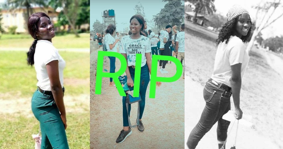 TASUED fresh graduate commits