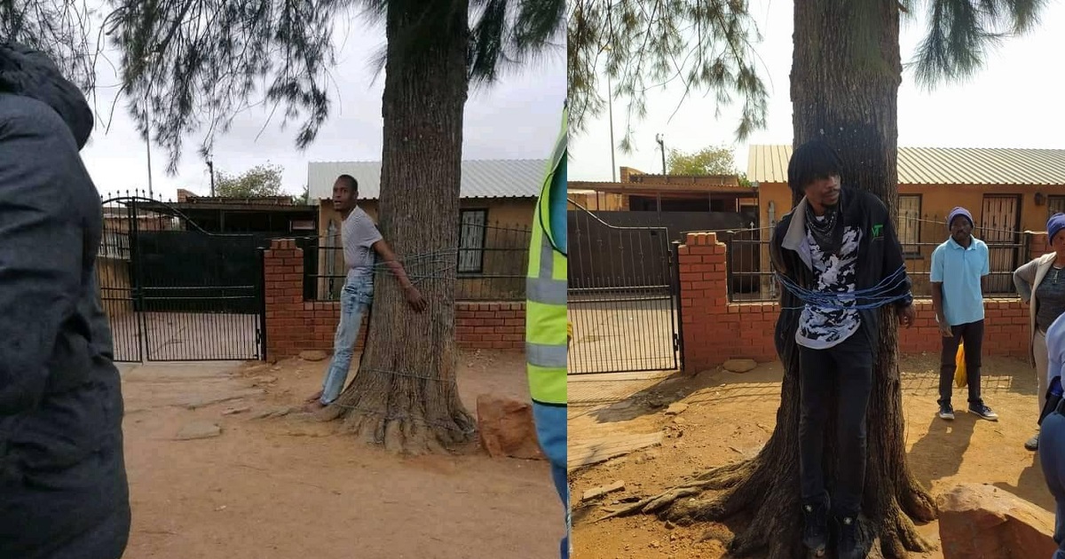 South African man beaten and tied to a tree for stealing grandmother’s mother (Photos)