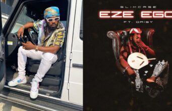 Slimcase Eze Ego