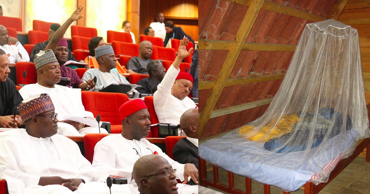 Senate rejects FG’s proposal to borrow N82 billion to buy mosquito nets