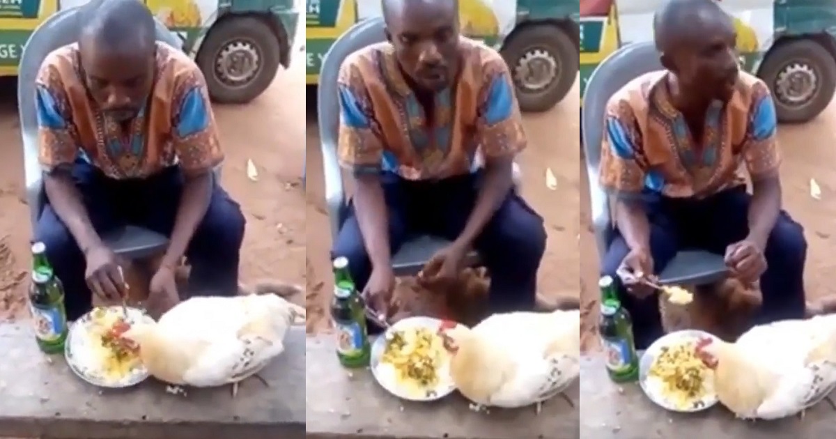 Shocking video of Man eating from the same plate with a chicken (Watch)