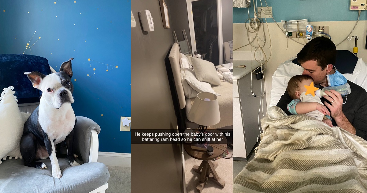 Lady shares how her dog saved her sick baby’s life after it kept disturbing and waking up the baby