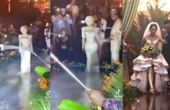 Northern bride causes