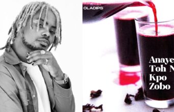 OlaDips Anaye Toh N Kpo Zobo