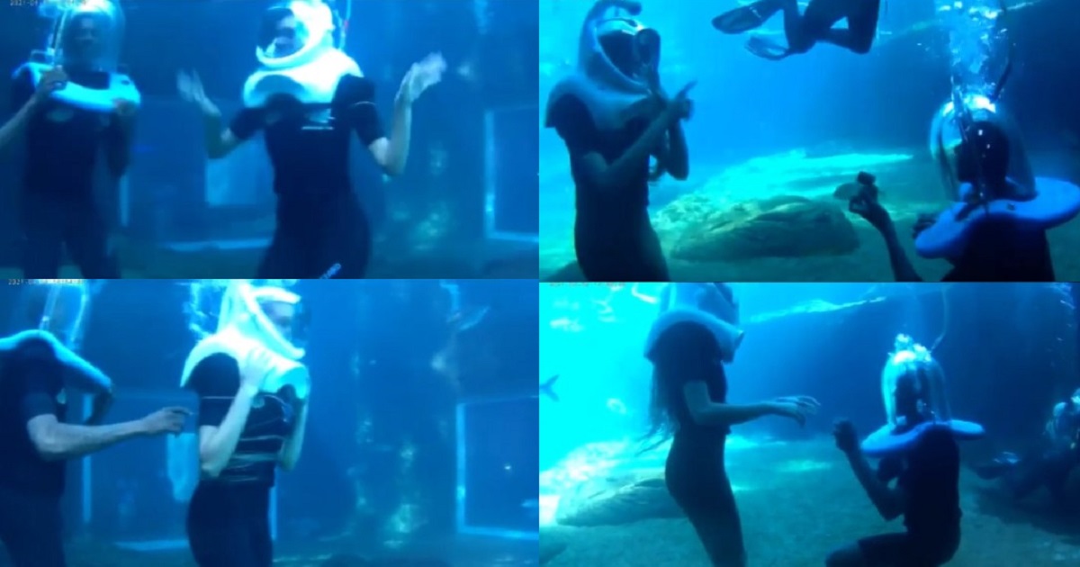 BBNaija’s Omashola proposes to his girlfriend underwater (WATCH)