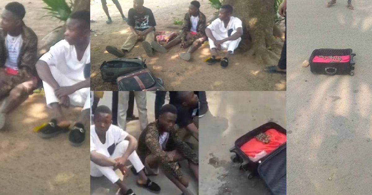 Suspected Yahoo boys arrested in a hotel after being caught with live snake in their luggage