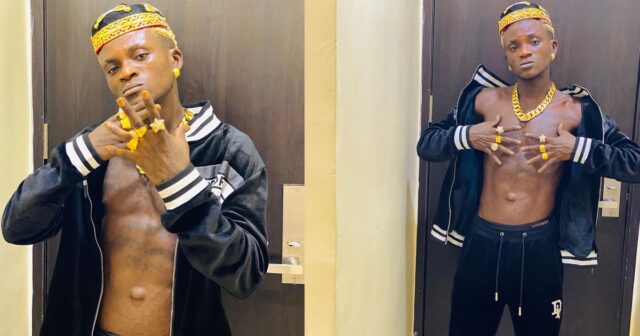 pot Portable reveals