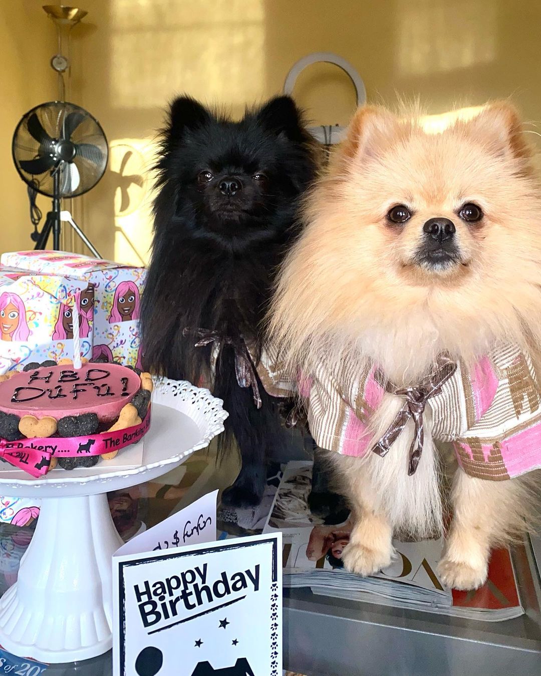 “You brought out the mother in me” – DJ Cuppy says as she celebrates her dogs’ 1st birthday in style (photos) 4 274151874 1745828699141951 2150250789078195949 n