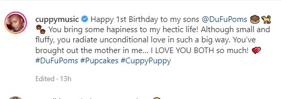 “You brought out the mother in me” – DJ Cuppy says as she celebrates her dogs’ 1st birthday in style (photos) 6 cuppy dogs