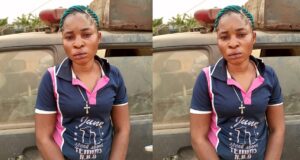 housewife allegedly stabs