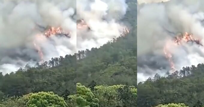 275764369_362467109120446_8631032693624183992_n