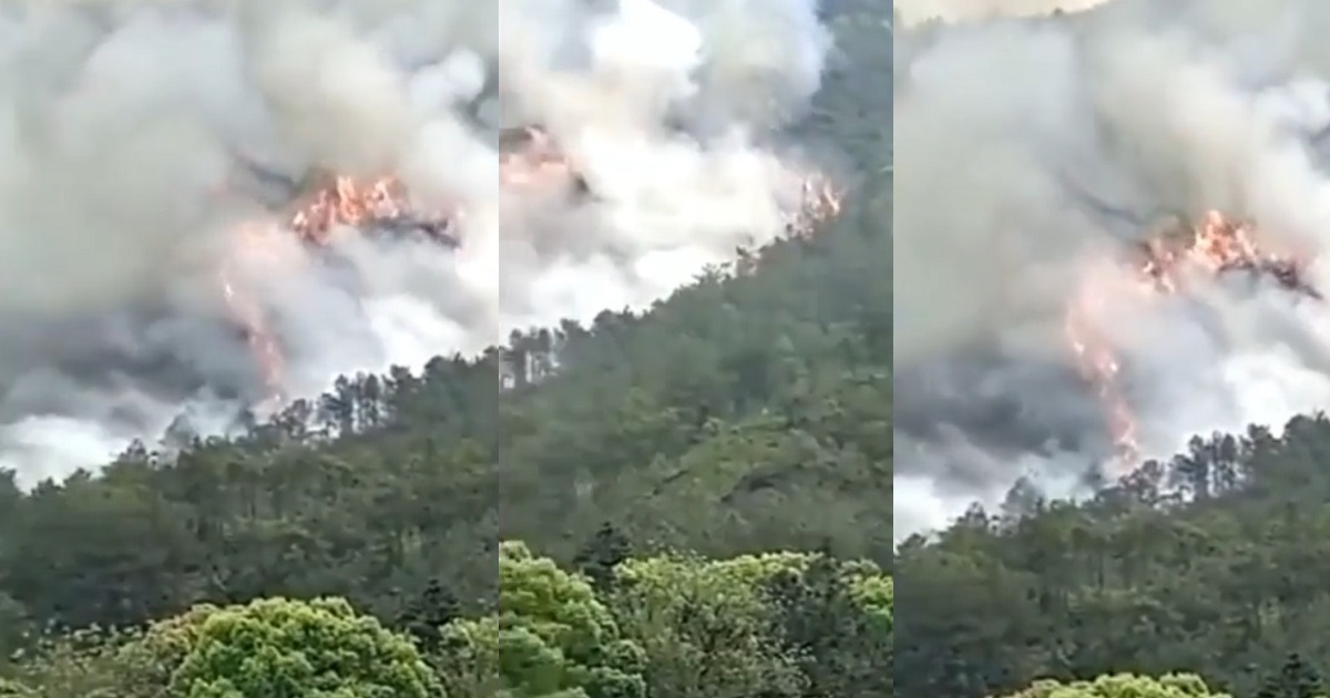 Boeing 737 plane with 133 people on board, crashes in China. (Video)