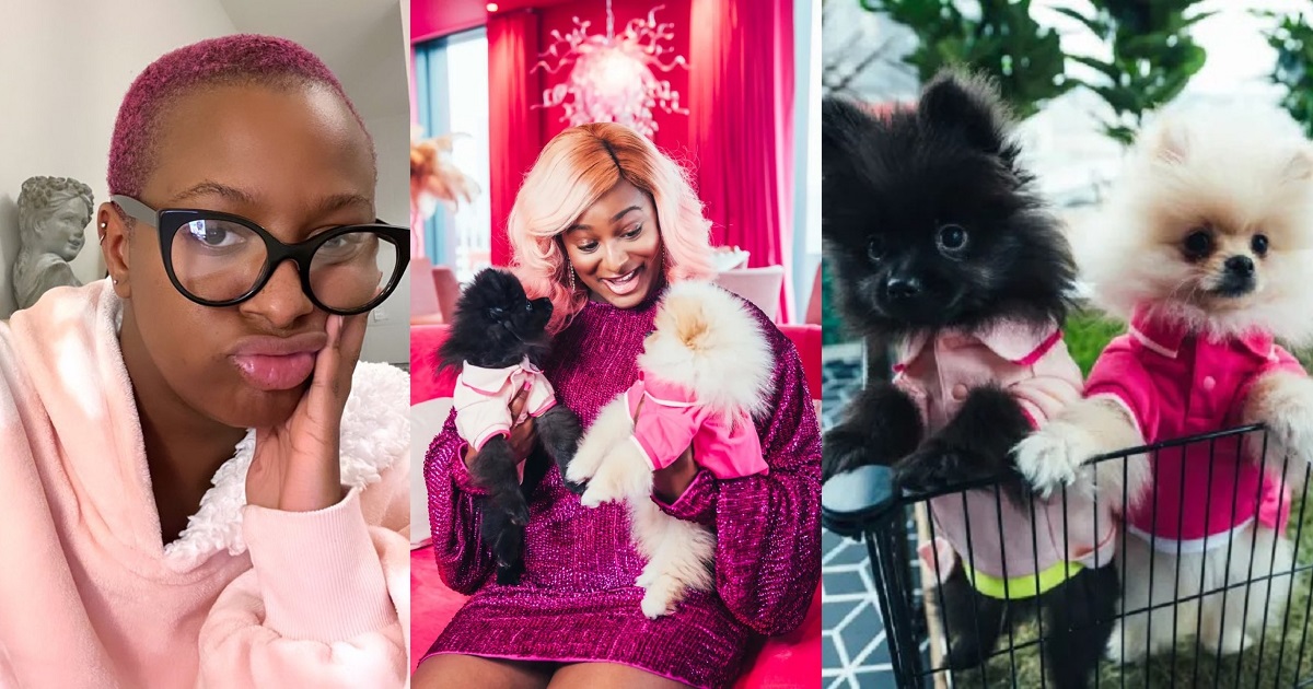 “Get a man to impregnate you instead of calling your pet dogs your kids” – Man tells DJ Cuppy, she reacts