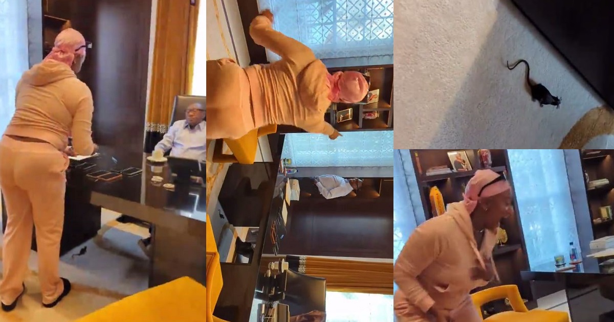 “No try am with trenches dad’ — Reactions as DJ cuppy pranks her dad, Femi Otedola with a fake rat (Video)