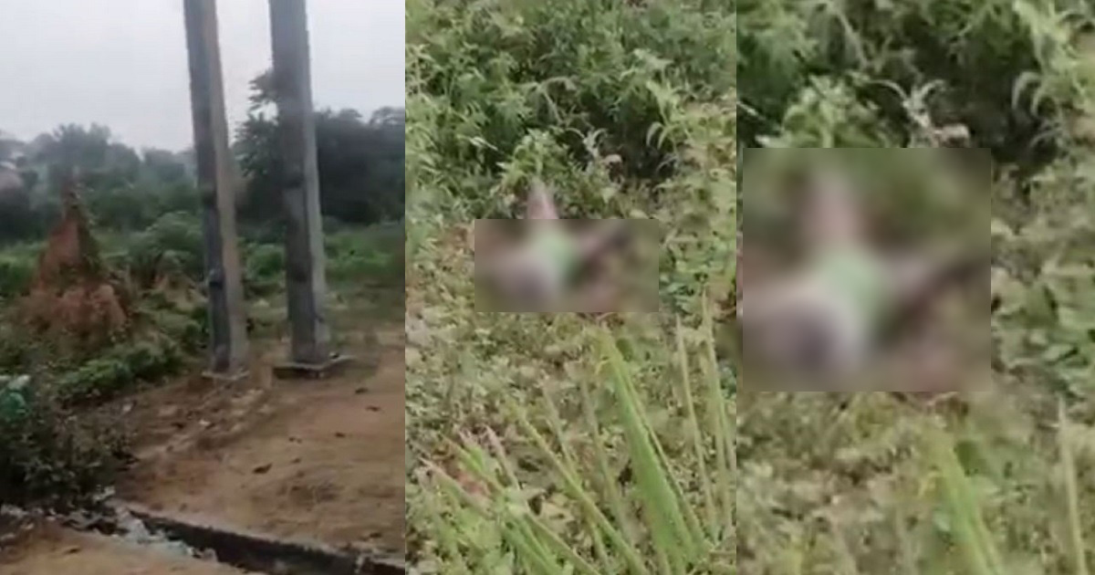 Decomposing body of unidentified woman found dumped in bush in Calabar (video)