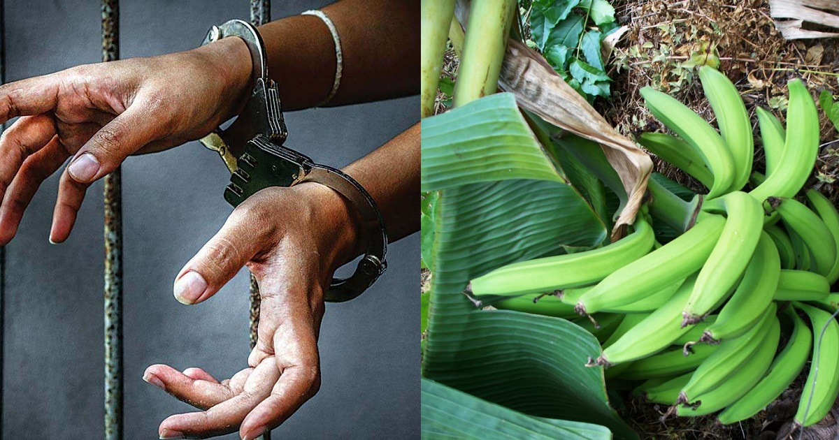 Five UNIUYO students arrested over their landlord’s missing plantain