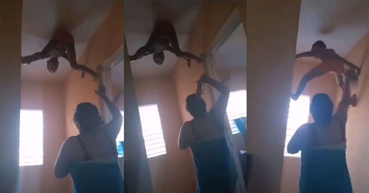 Moment little boy brings out ‘inner Spiderman’, sticks to the wall to escape being punished by his mother (video)