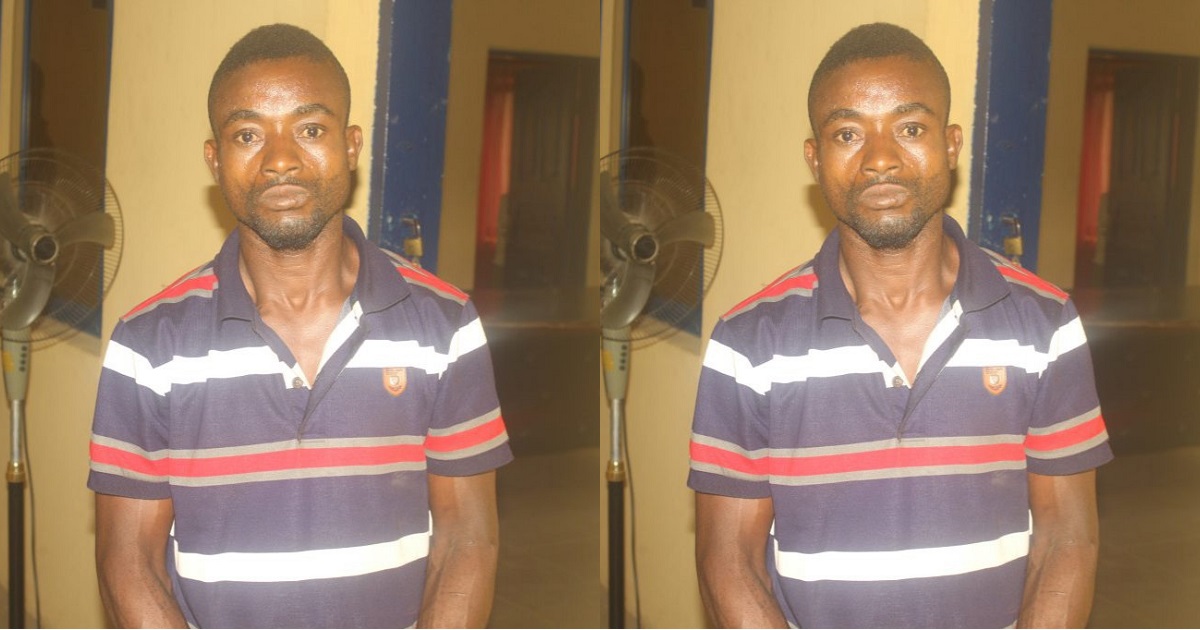 Father impregnates