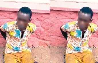 Man arrested