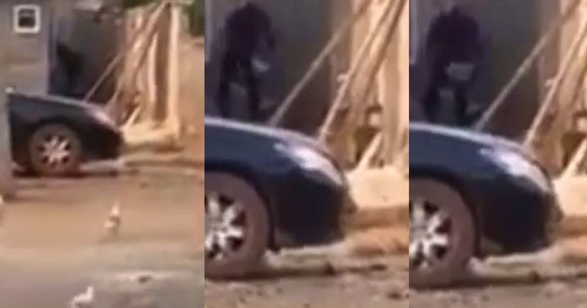 Suspected yahoo boy caught on camera stealing panties from a building before entering into a car and speeding away (video)