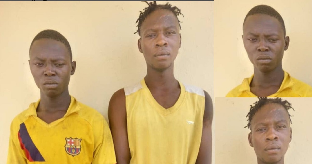 Two men arrested for alleged sexual assault on a Mentally-handicapped woman in Adamawa