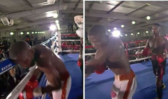 South African boxer dies 
