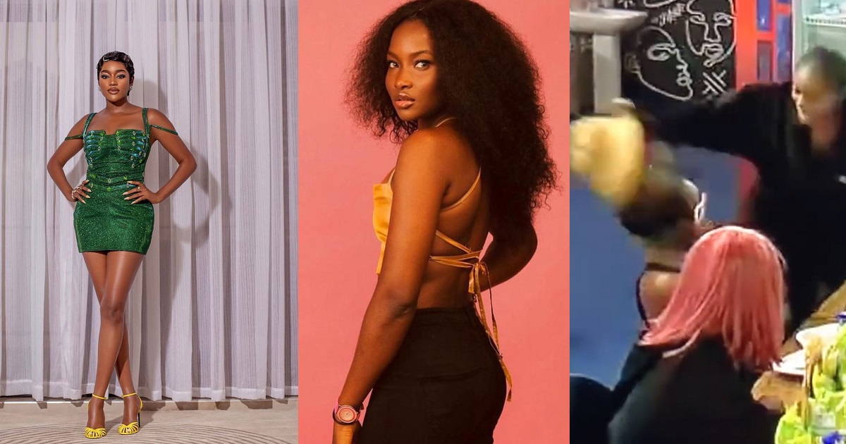 #BBNaija Recap : Moment Beauty yanked off Ilebaye’s Wig during a confrontation (VIDEO)