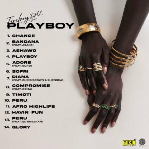 Fireboy DML Playboy Album
