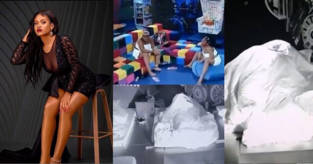 297028464_382963347308662_7404219942544269664_nE Amaka and Phyna gossip