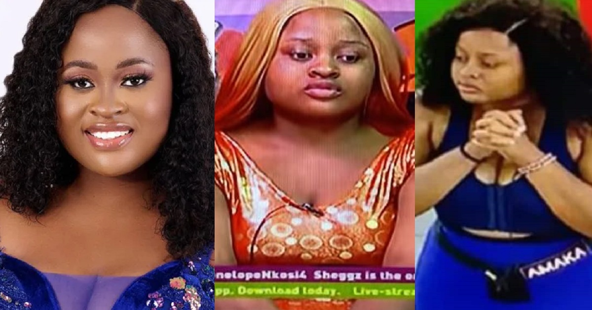#BBNaija: Amaka sanctioned for almost burning down Biggie’s house (Video)