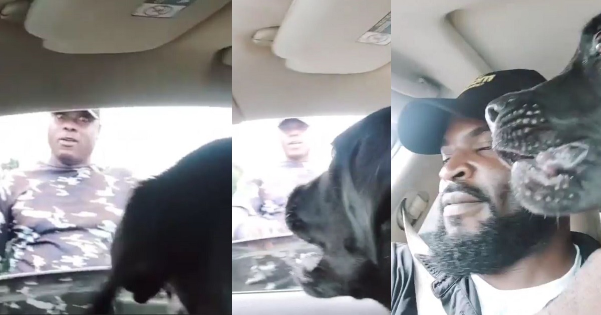 “We’re together” – Terrified policeman pleads as motorist’s dog charges at him at checkpoint (Video)