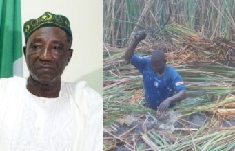 Agric ministry tells