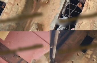 Harrison Gwanmishu exposes