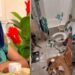 “I have wrecked household properties different times” – Chacha Eke-Faani says she recognises herself in the teenager who destroyed his mother’s house