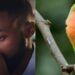 Nigerian man reportedly deported for killing parrot one month after relocating to Canada
