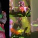 Throwback Video: “This guy is annoying me, go home” — Burna Boy fumes as he refunds attendee during live show.
