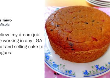 “My dream job was to work in LGA secretariat and sell cakes to my colleagues” –  Nigerian lady writes.