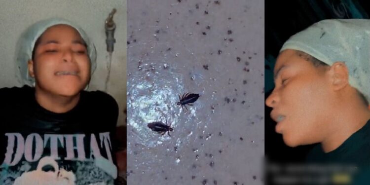 Nigerian lady breaks down in tears at the sight of lice harvested from her hair (Video)