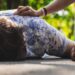 Eyewitness recounts how side chick allegedly gave wife who accosted her smack down, rendering her unconscious in Ibadan (Audio)