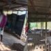 Young man commits suicide in Bayelsa over ‘hunger and rejection from his family’ (Video)
