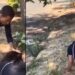 Heartbroken man forcefully collect gifts he gave his girlfriend after finding out she was cheating. (VIDEO)
