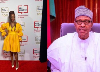 Chimamanda Adichie declined the national honors – Omawumi Ogbe, Media aide says