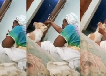 Nigerian mother scolding