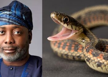 Ondo politician recounts