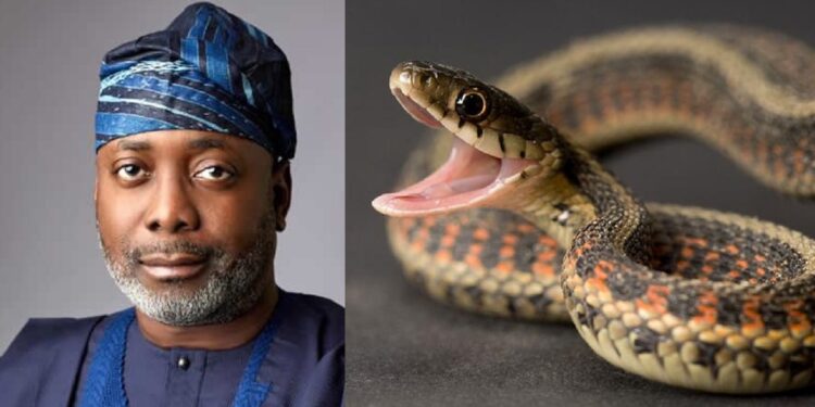 Ondo politician recounts