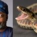 Ondo politician recounts