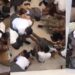students collapsed